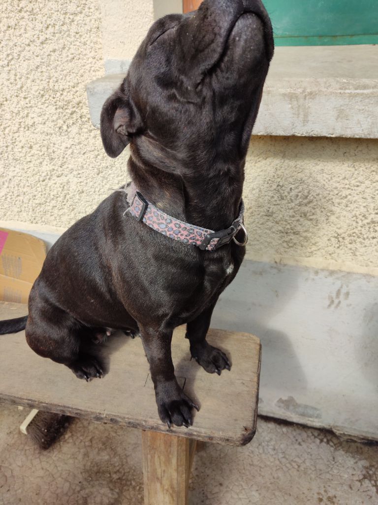 Sweet dreams At Otherside Of Stafford